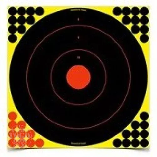 1 – Birchwood Casey Shoot N C Target 17.25″ Bullseye 5 Pack