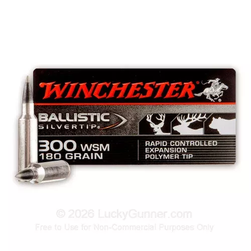 .300 WSM – 180 grain Ballistic Silvertip – Winchester – 20 Rounds