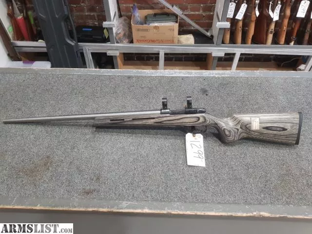 CZ 527 from SoundLoan near Everett, WA