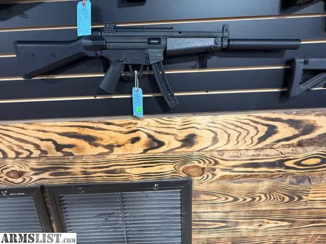 GSG 522 from Southern Variety Guns & Ammo Shooting Range near Biscoe, North Carolina, USA