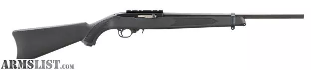 Ruger 31210 10/22 Carbine 22 LR 10+1 18.50" Satin Black Alloy Steel Barrel, Satin Black Picatinny Rail Steel Receiver, Black Synthetic Fixed Stock from THE LITTLE SPORTSMAN SHOP LLC near NORTHUMBERLAND, Pennsylvania, USA