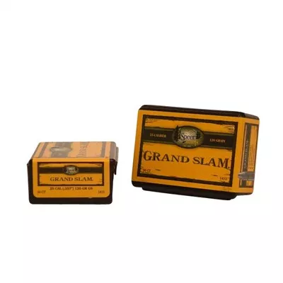 Speer Bullet .25 .257 120gr SP GrandSlam